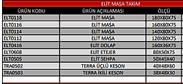 Elit Masa Takımı